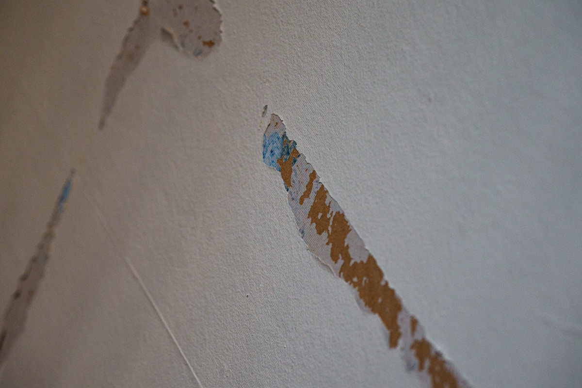 Water Extraction service in Boise, ID
